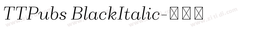 TTPubs BlackItalic字体转换